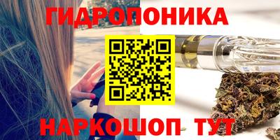 шишки Белореченск