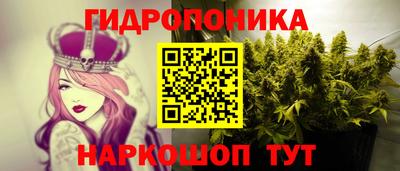 метадон Аша