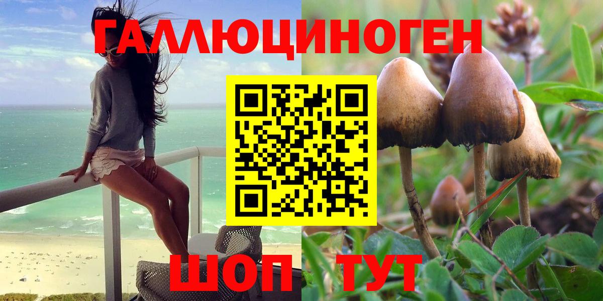 Ступино  Галлюциногенные грибы Cubensis  Вход с VPN  Псилоцибиновые грибы Psilocybine cubensis 