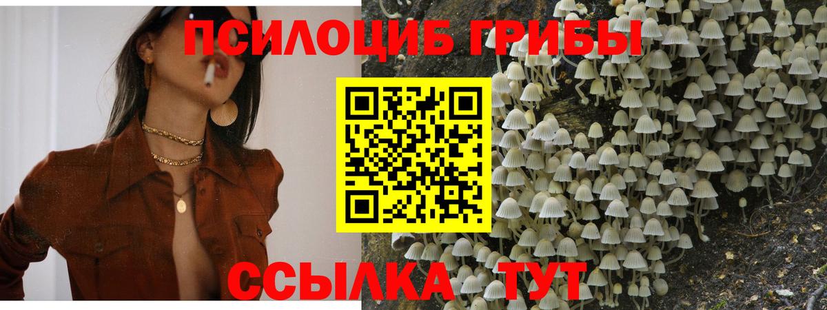 Псилоцибиновые грибы прущие грибы Ступино