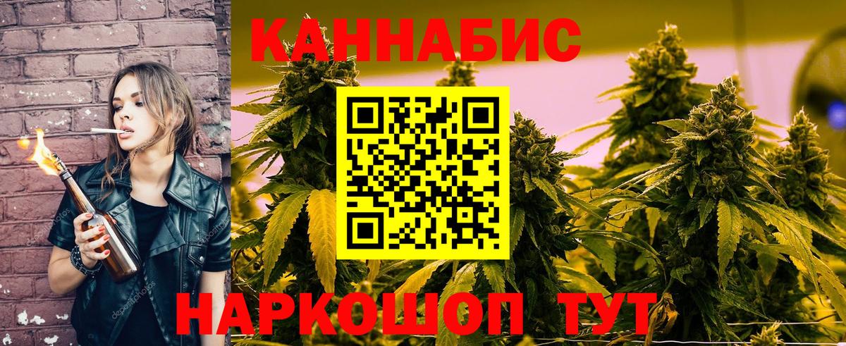 Бошки Шишки планчик Ступино